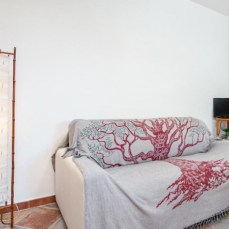Holiday House Li Piri San Teodoro  Eksteriør billede